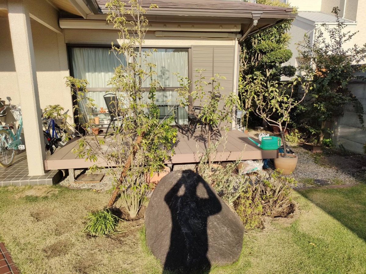 大阪府高石市 庭木の植え替え ヤマボウシとイロハモミジ 奈良の外構 お庭 エクステリアの専門店リーフユニティ