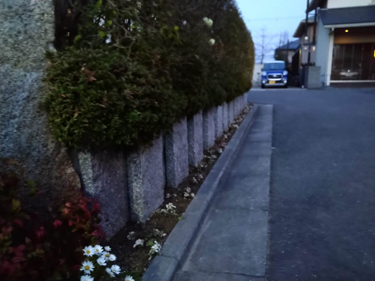 北葛城郡広陵町 手間のかからない庭 グランドカバー 奈良の外構 お庭 エクステリアの専門店リーフユニティ 北葛城郡広陵町 手間のかからない庭 グランドカバー 奈良の外構 お庭 エクステリアの専門店リーフユニティ