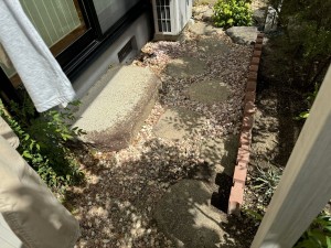 IMG_01611