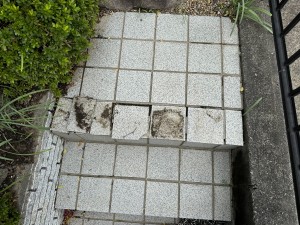 IMG_0940