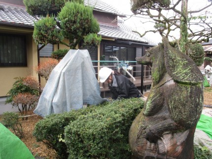 IMG_3350 IMG_3350