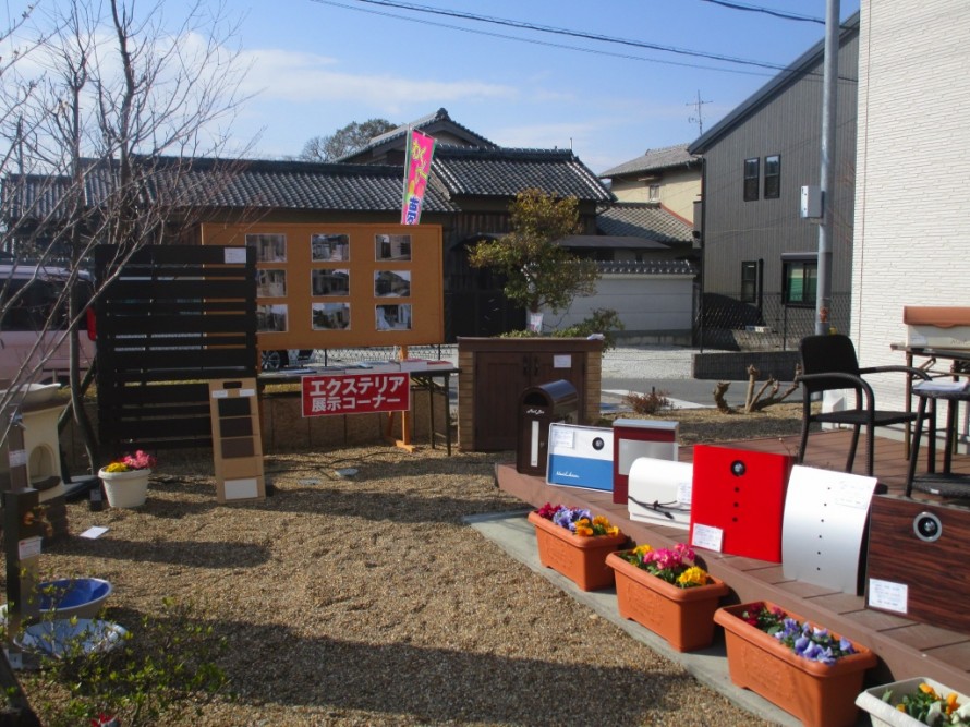 IMG_3720 IMG_3720