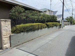 IMG_4057 IMG_40571