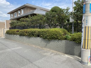 IMG_4060 IMG_40601