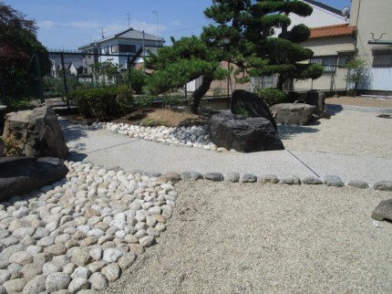 IMG_4470 IMG_4470