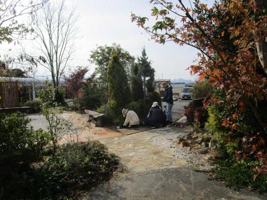 IMG_5194 IMG_5194