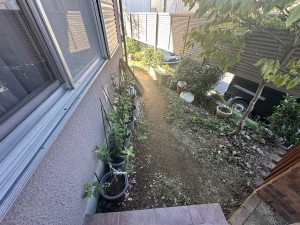 IMG_9908 IMG_9908