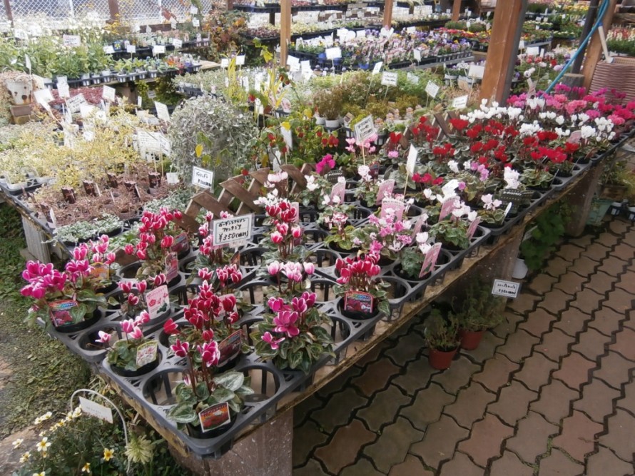 PC050033