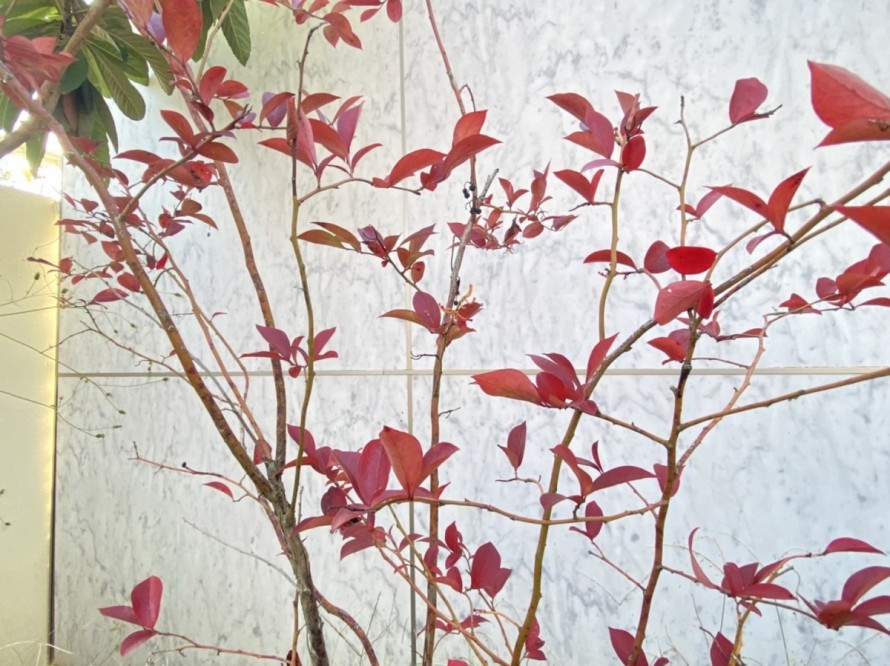 S__260341765 S__260341765