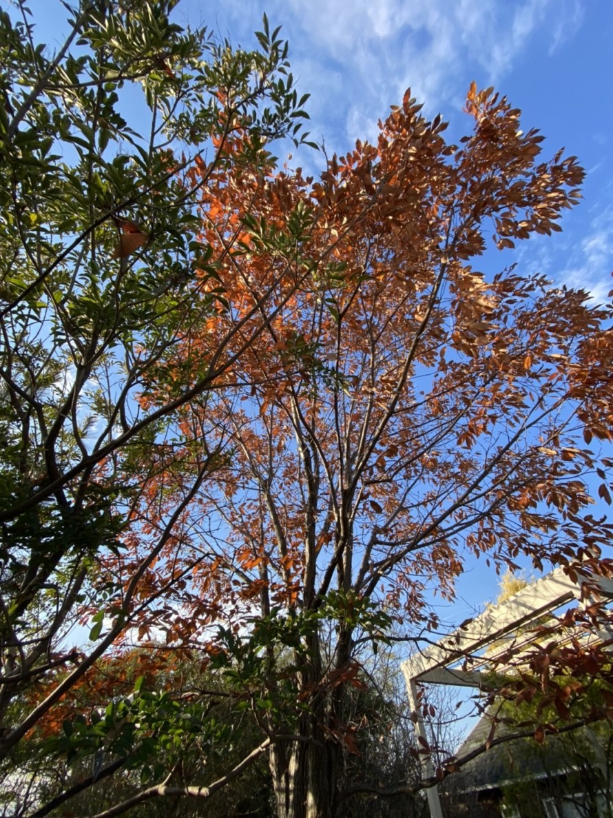 S__276381708 S__276381708