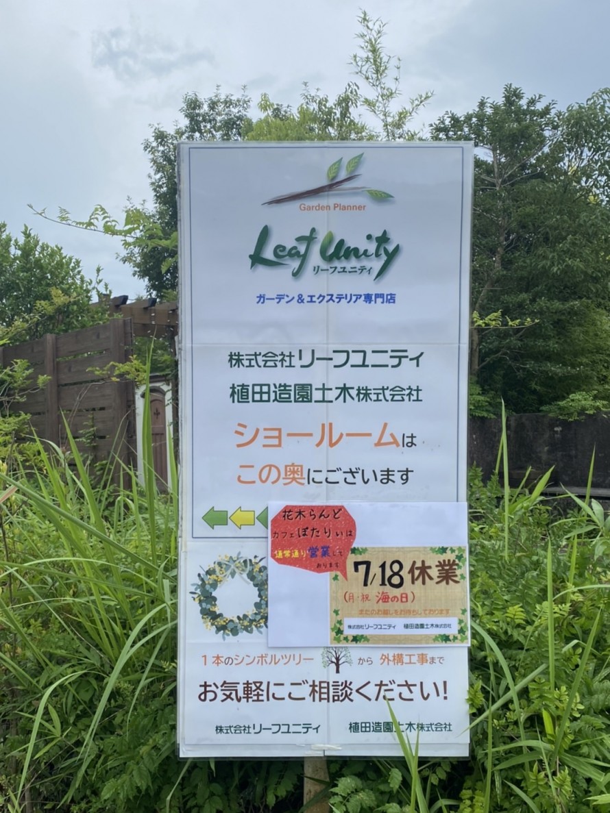 S__351895556 S__351895556
