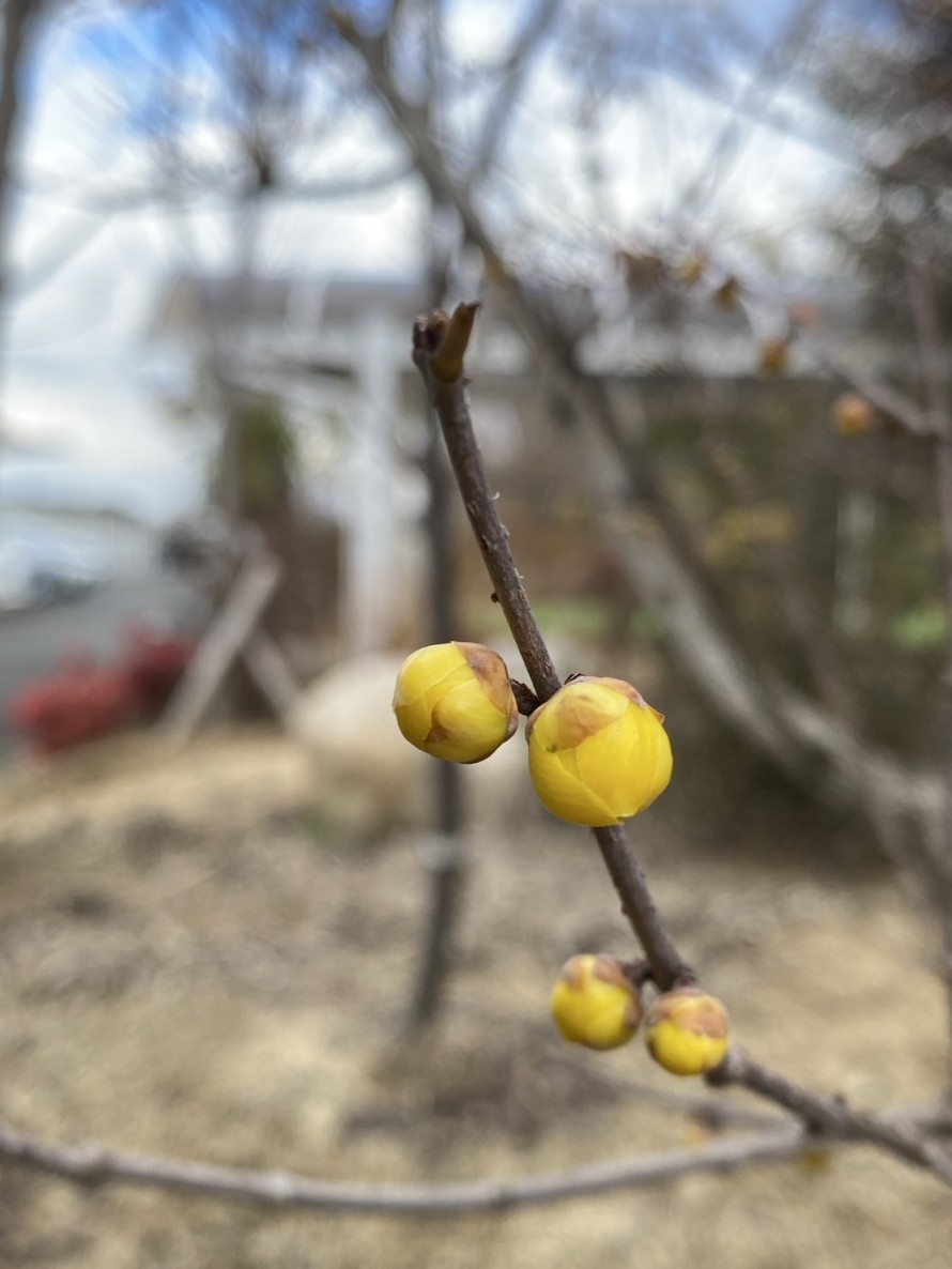 S__636395527_0