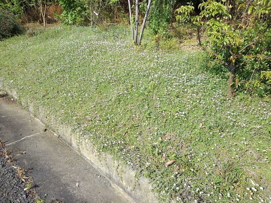 image0 image01