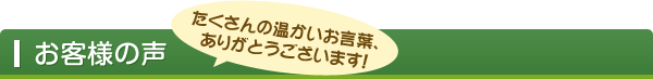 sp-menu21 お客様の声