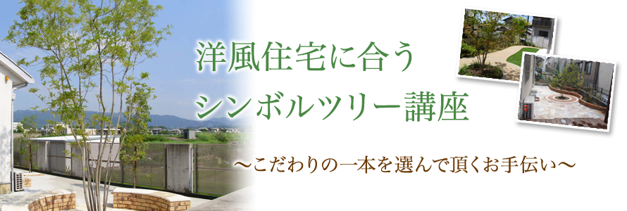 洋風住宅に合うシンボルツリーの選び方講座 奈良の外構 お庭 エクステリアの専門店リーフユニティ